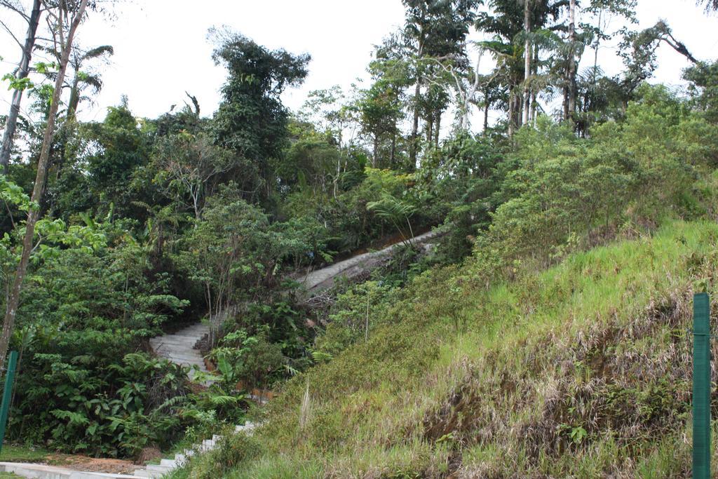 金马伦高原山岭度假村 丹那拉打 外观 照片